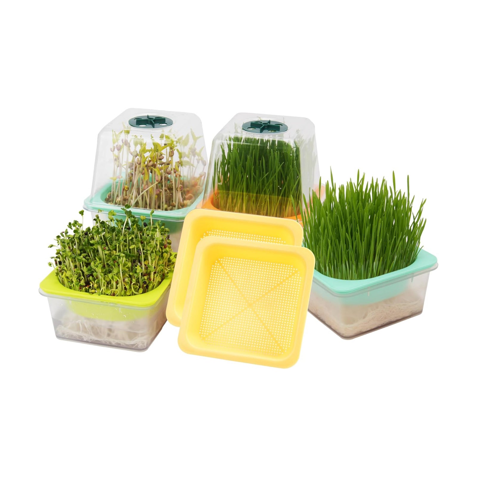 Microgreen Growing Trays, 5" x 5" Sprouting Tray with Humidity Dome, 1.2 mm Small Mesh Holes, BPA Free, Sprouter Kit