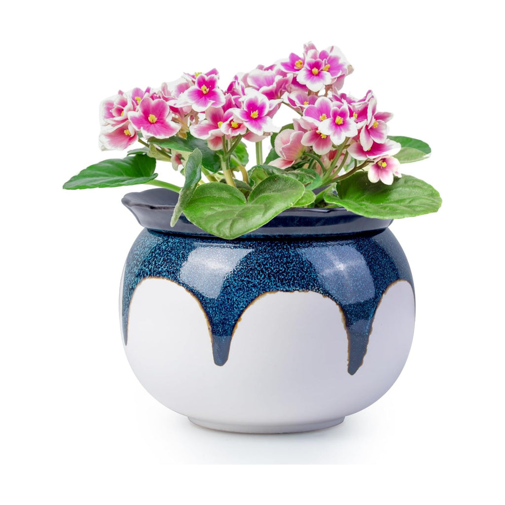 African Violet Pots, 6 Inch Self Watering Pots for Indoor Plants, Easy Plant Self Watering Planter, Ceramic Plant Pot