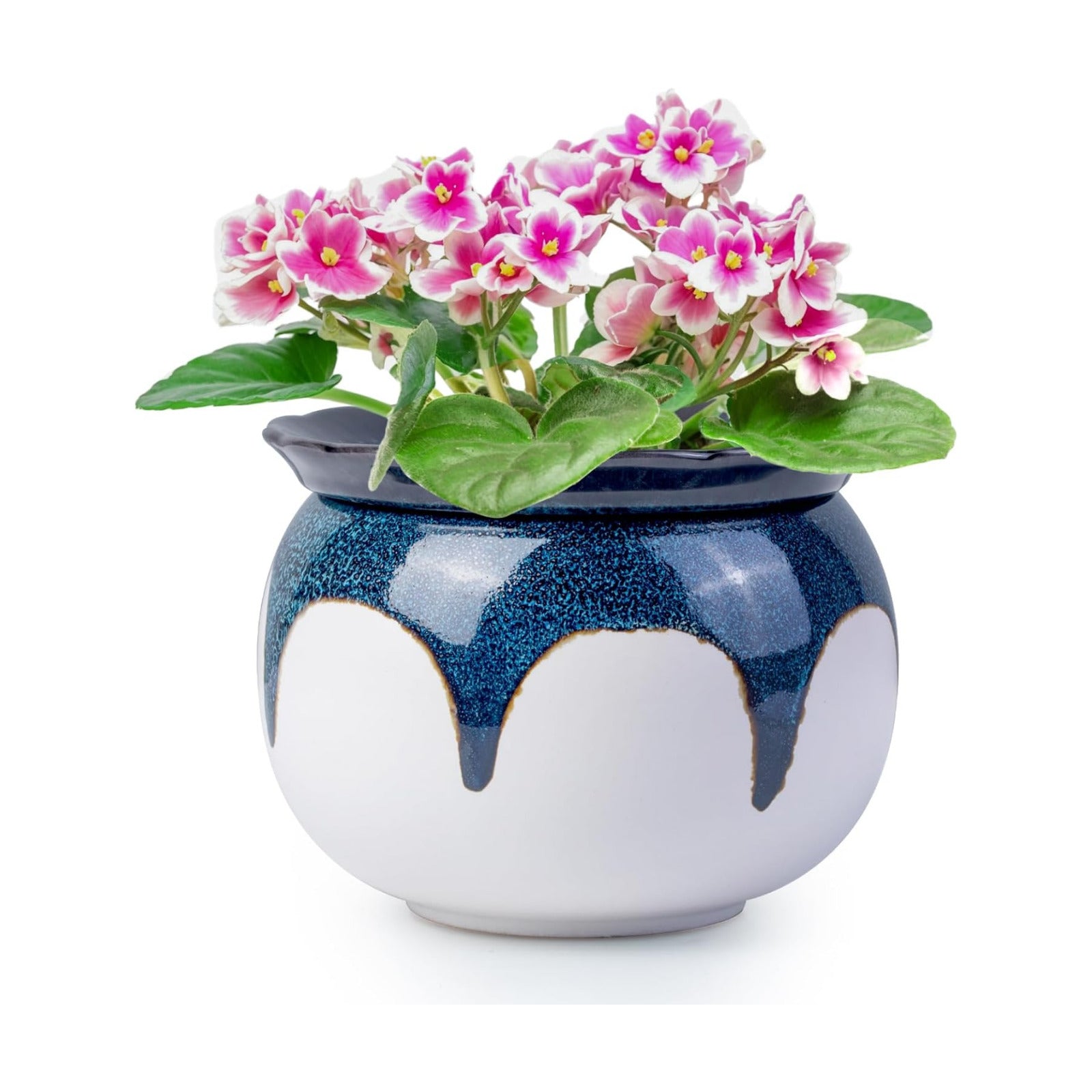 African Violet Pots, 6 Inch Self Watering Pots for Indoor Plants, Easy Plant Self Watering Planter, Ceramic Plant Pot