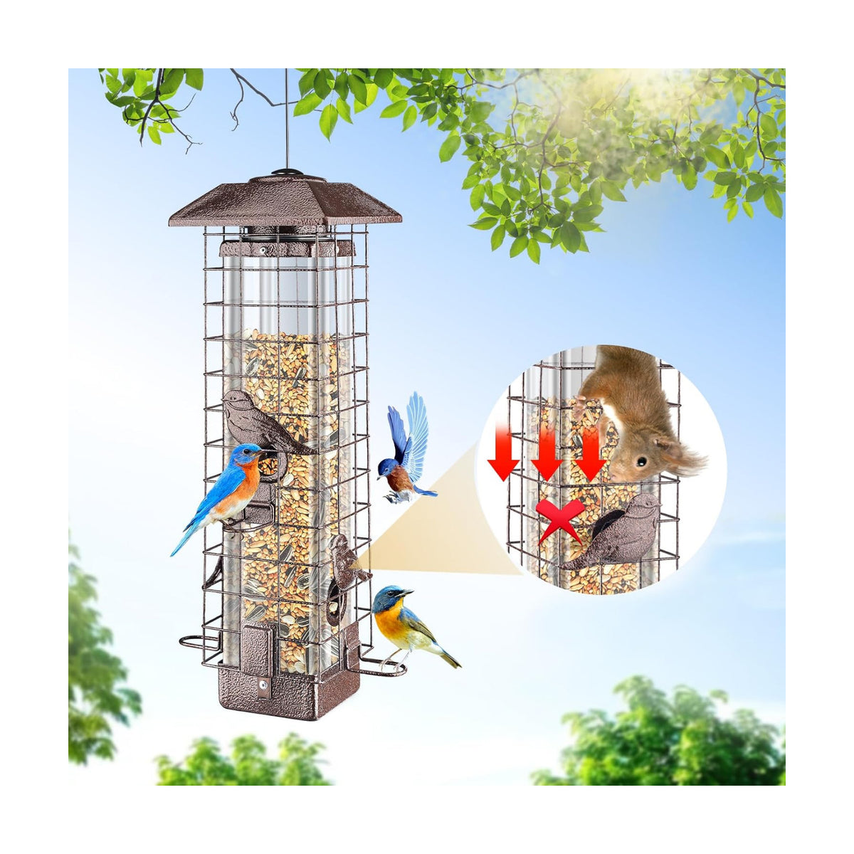 Squirrel Proof Bird Feeder for Outdoors Hanging, Metal 3LB Feeder