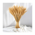 Sukh 100 Stems Dried Wheat Stalks - Boho Fall Decor for Home & Wedding