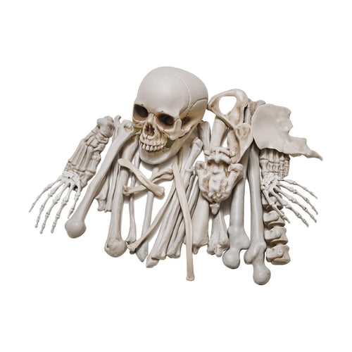1 Bag of 28 Pieces Life Size Skeleton Bones Halloween Decorations Outdoor Indoor, Fake Plastic Human Skull Bones for Outside Inside Halloween Party Haunted House Graveyard Decor