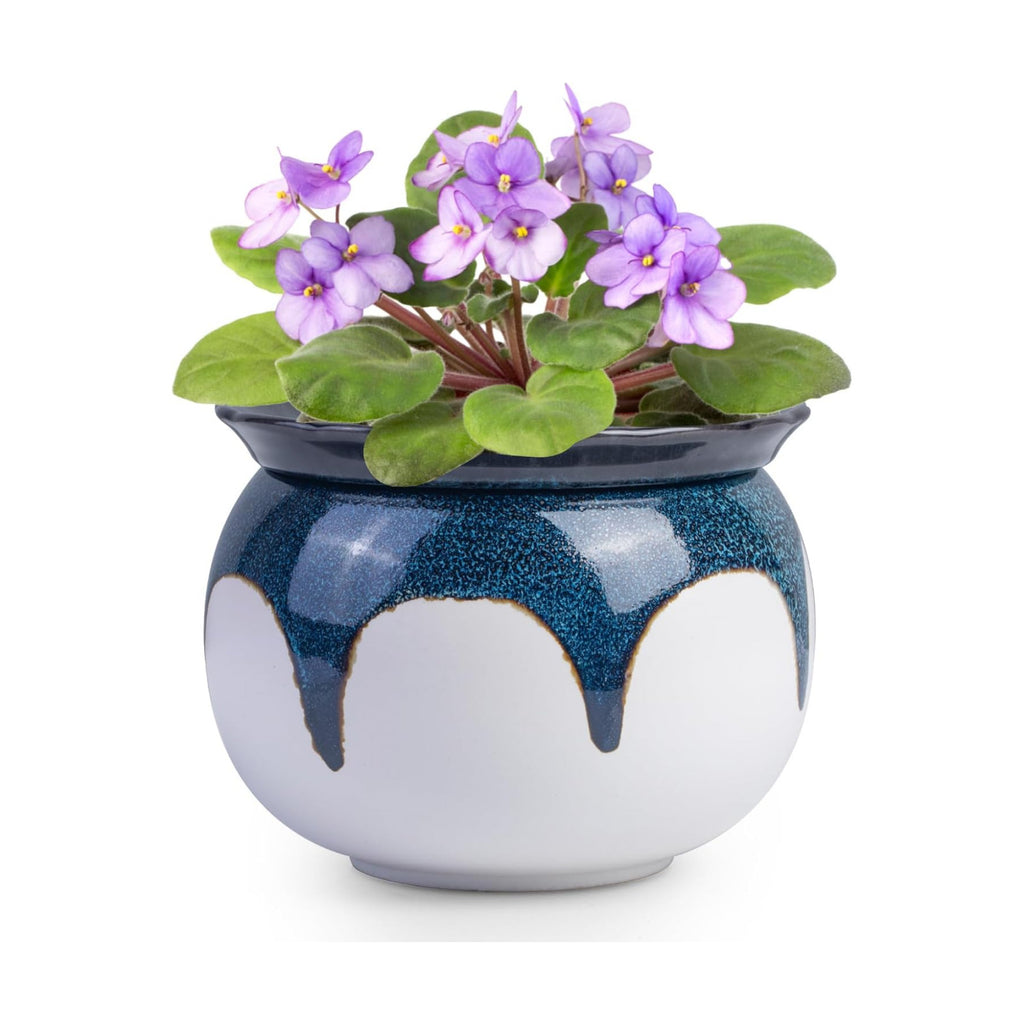 BUYMAX African Violet Pots, 6 inch Ceramic Easy Self Watering Plant Pot for Busy Plant Lovers, Automatically Absorb