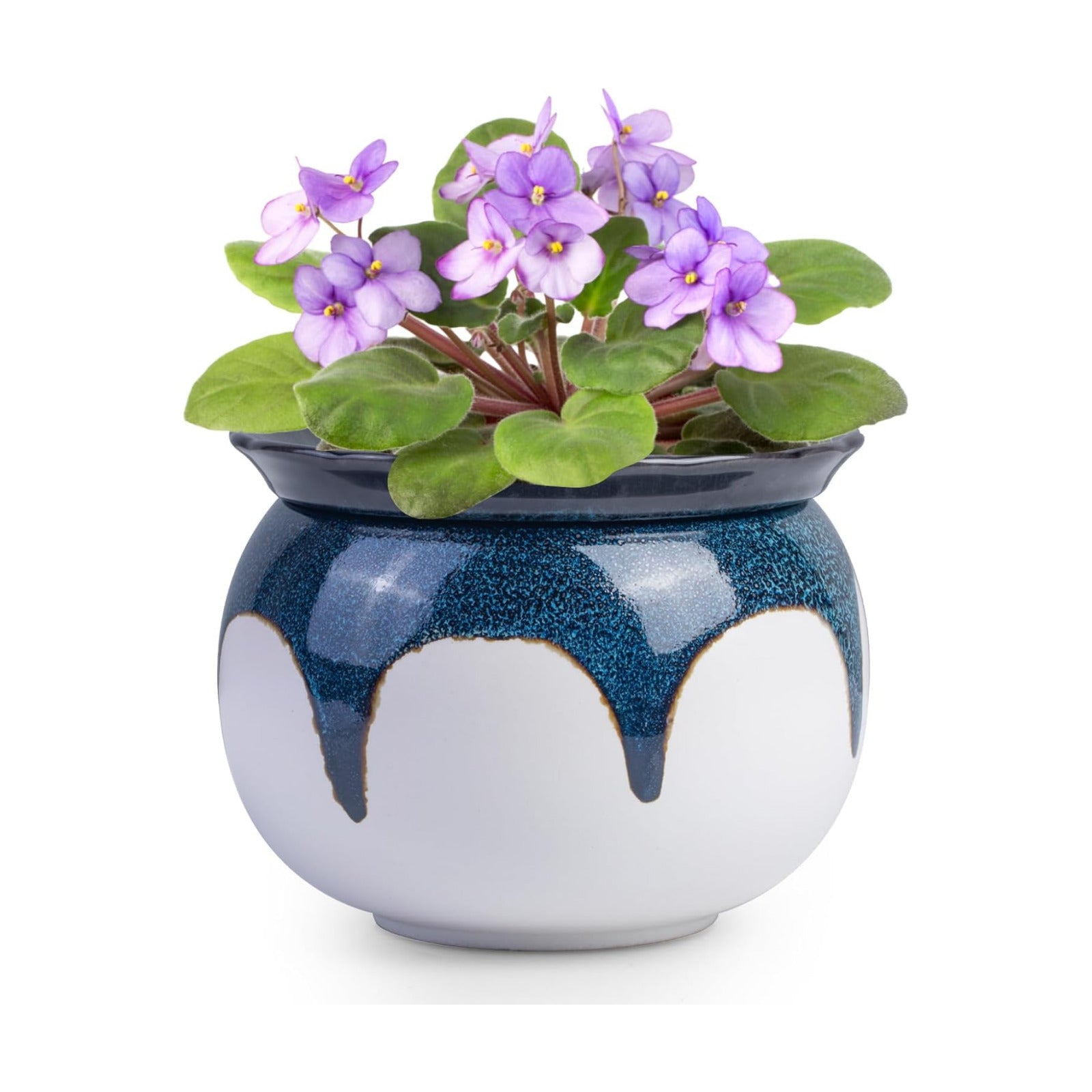 BUYMAX African Violet Pots, 6 inch Ceramic Easy Self Watering Plant Pot for Busy Plant Lovers, Automatically Absorb