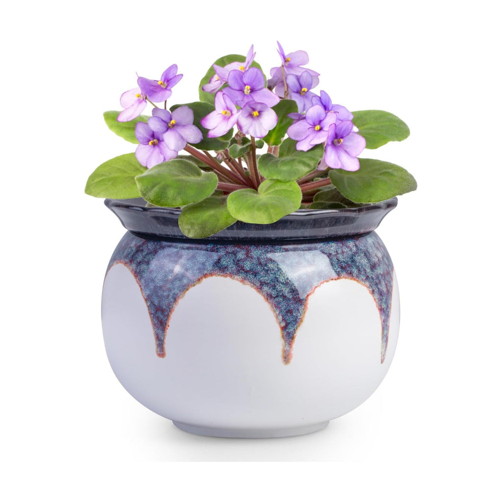 BUYMAX Self Watering Ceramic African Violet Pot Keep The Soil Moist | Reactive Glaze Color Variations | Scalloped Rim