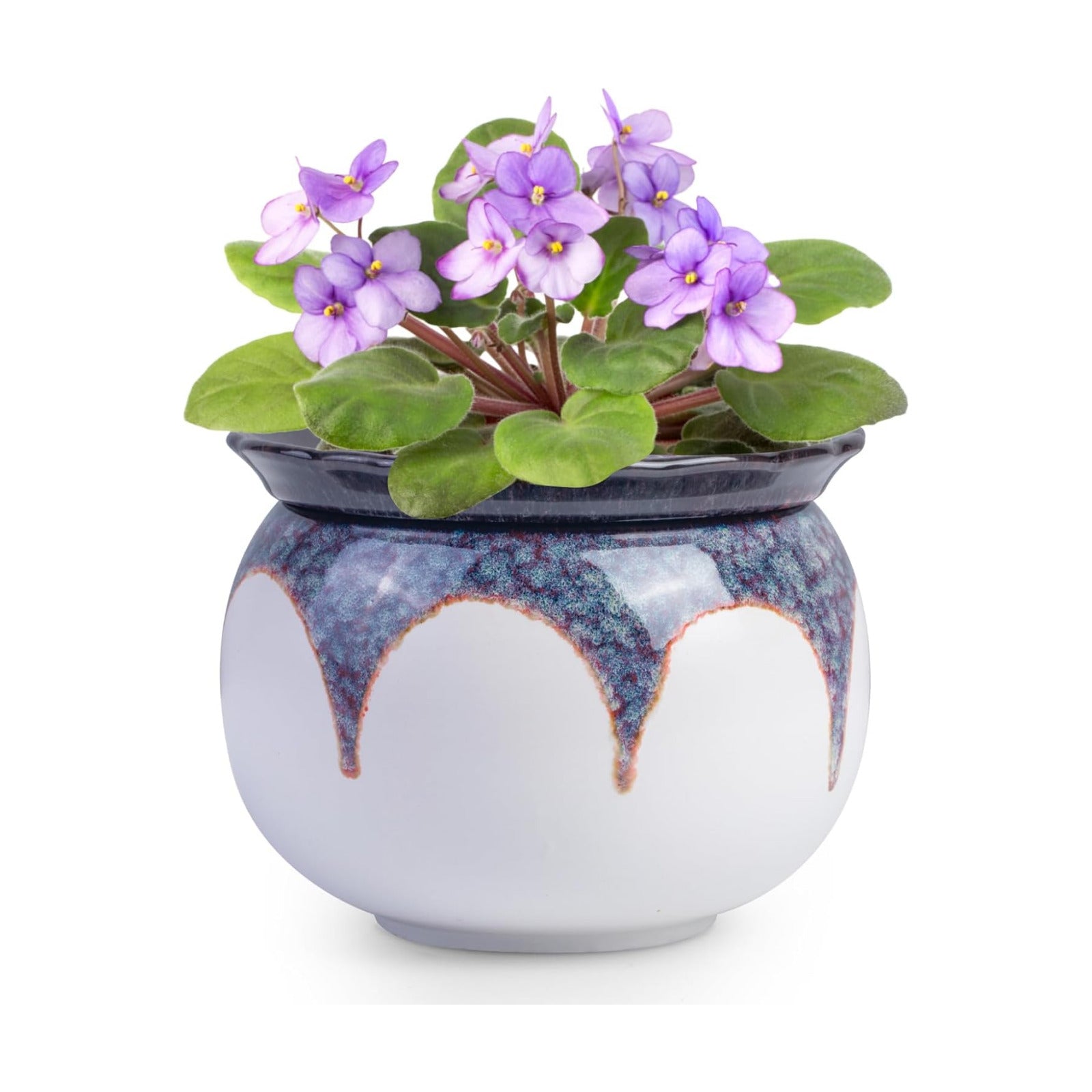 BUYMAX Self Watering Ceramic African Violet Pot Keep The Soil Moist | Reactive Glaze Color Variations | Scalloped Rim