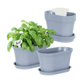 Oliz 6pk Windowsill Planters, Grey Plastic w/Drain Tray - Indoor/Outdoor