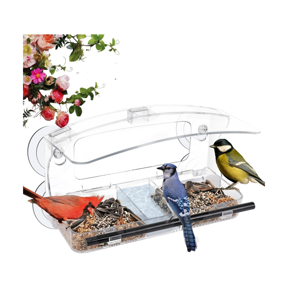 Window Bird Feeder with 4 Strong Suction Cup