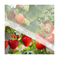 RAINFLOW Garden Netting 10 x 5 FT - 60 Mesh Plant Cover for Raised Beds