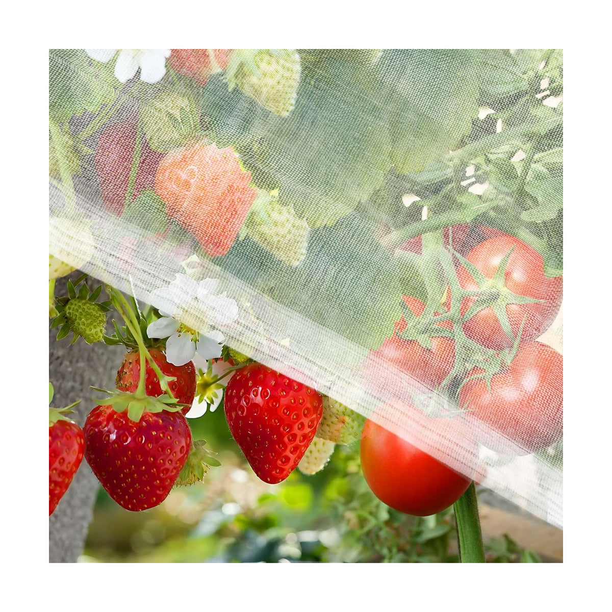 RAINFLOW Garden Netting 10 x 5 FT - 60 Mesh Plant Cover for Raised Beds