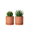 D'vine Dev 2-Pack Terracotta Plant Pots with Saucers, 4 Inch, 40-X-B-1 | Cylinder Shape, Timeless Style, Unglazed