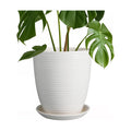 8 Inch Ceramic Planter Pot Round Plant Pot with Drainage Hole and Saucer Modern Flower Pot for Indoor Outdoor Plants