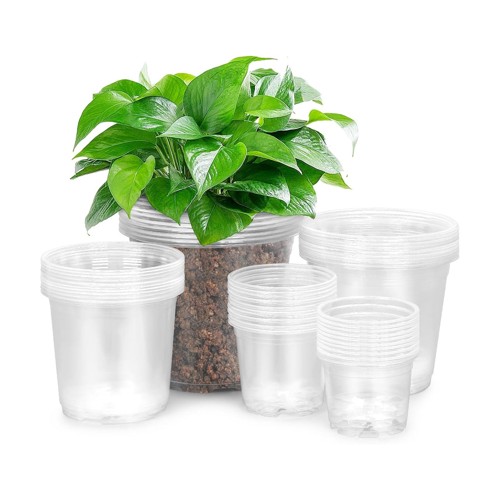 FUIJOL 50 Pack 3/4/5/6/7 Inch Clear Nursery Pots with Drainage Holes | Durable Plastic Nursery Pots for Plants