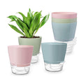 Hayder Plant Pots 6 inch Set of 6, Self Watering Flower Pots