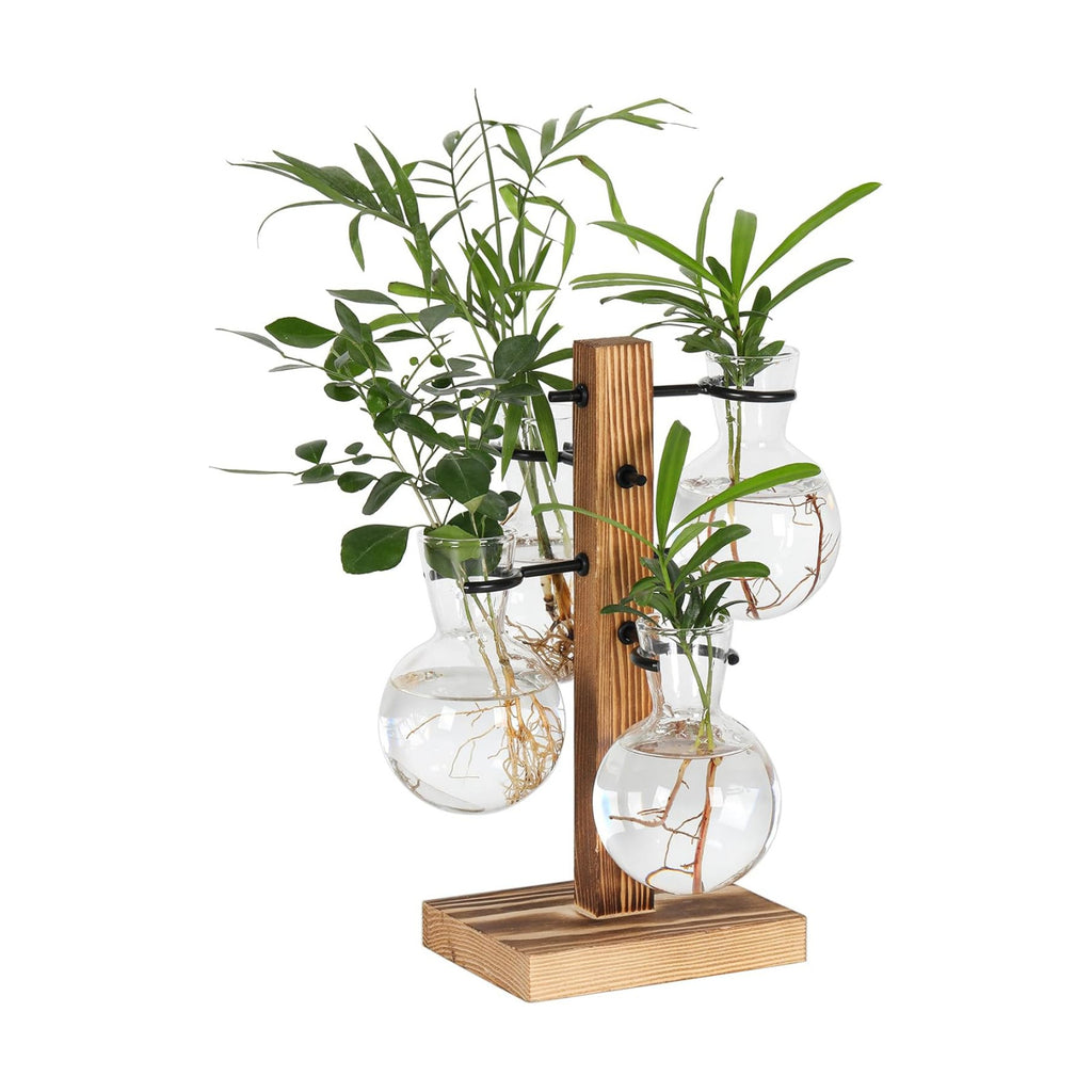 Plant Propagation Station with 4 Glass Vases & Wood Stand, Hydroponic Air Planter for Indoor Plants, Unique Gardening