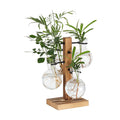 Plant Propagation Station with 4 Glass Vases & Wood Stand, Hydroponic Air Planter for Indoor Plants, Unique Gardening