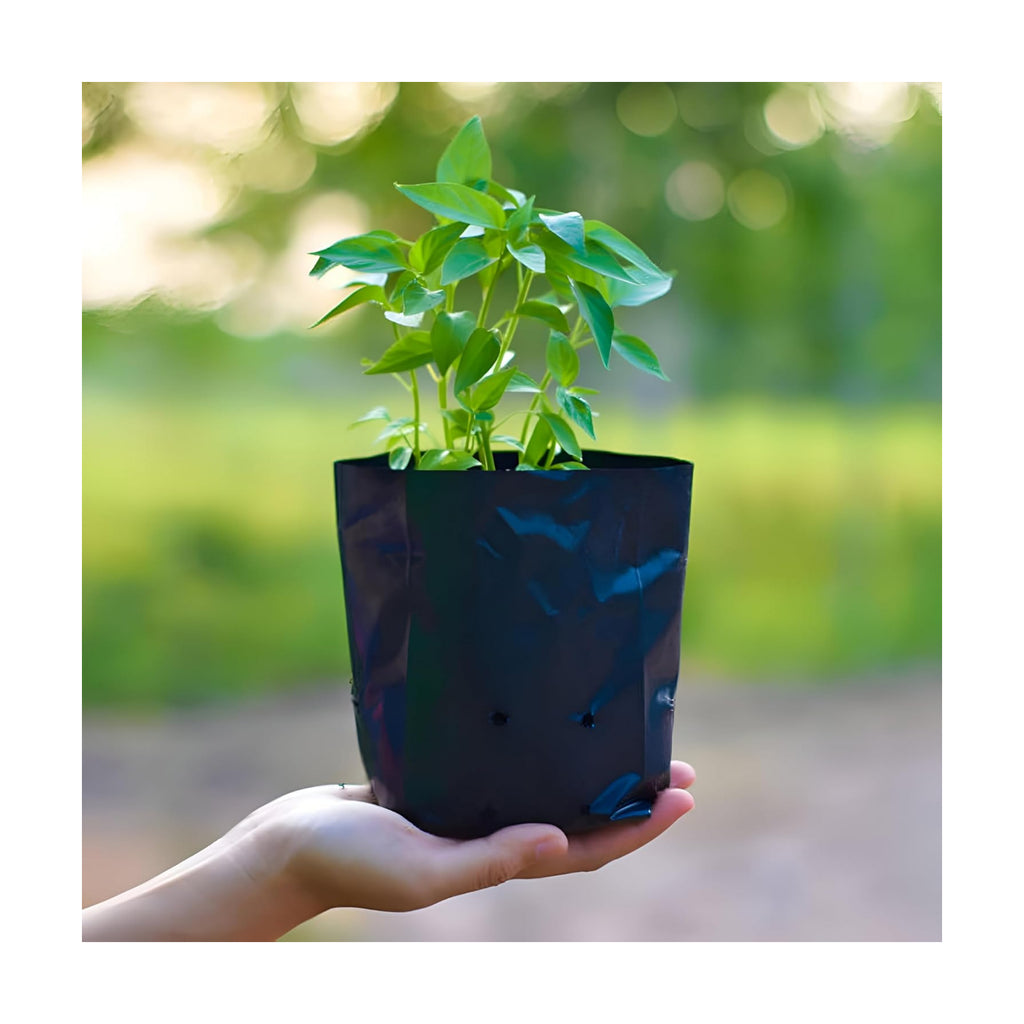 Go Garden Big Grow Bags 24"x24" for Home, Terrace, and Balcony Gardening | Pack of 12 | Ideal for Vegetable Plants and