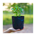 Go Garden Big Grow Bags 24"x24" for Home, Terrace, and Balcony Gardening | Pack of 12 | Ideal for Vegetable Plants and
