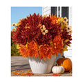 Ivydale Artificial Mums for Outdoors Fall Fake Flowers for Planters, 2 Bundles Faux Silk Chrysanthemum Bouquets, 24 Heads Flower with Long Stems for Wedding Party Home Decor