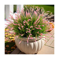 Ammyoo Artificial Plants Fake Monkey Grass for Outdoor Porch Decorations