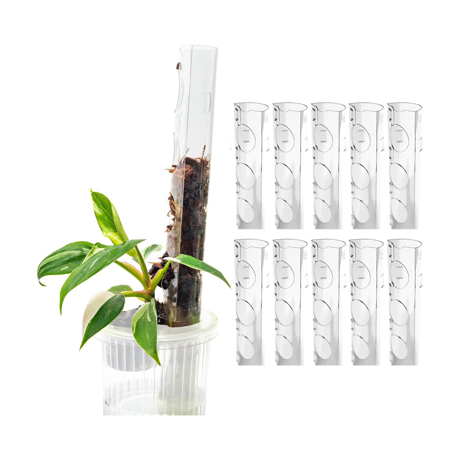 V3 GrowPole Small 10 Pcs - Front Opening Plastic Moss Poles for Climbing Plants, D-Shaped Moss Pole for Monstera Plant