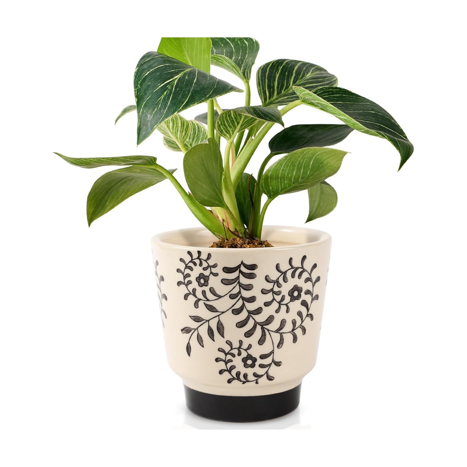 STHIE Indoor Ceramic Plant Pots with Drainage Holes, 5 Inch, Leaf Design | Handmade Hand-painted Cute Planter Pots for