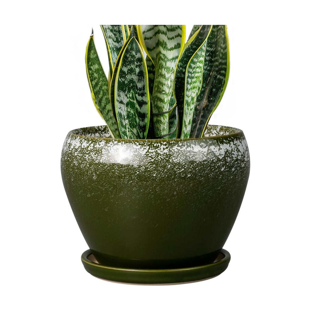 Ceramicfor 8 Inch Plant Pot - Ceramic Planter with Drainage, Dark Green