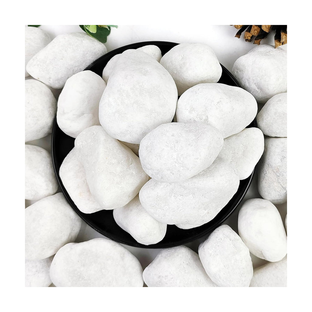 20lb White River Rocks for Landscaping, 2-3 Inch Natural Pebbles for Indoor Plants, Snow White Decorative Stones, Ideal