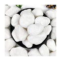 20lb White River Rocks for Landscaping, 2-3 Inch Natural Pebbles for Indoor Plants, Snow White Decorative Stones, Ideal