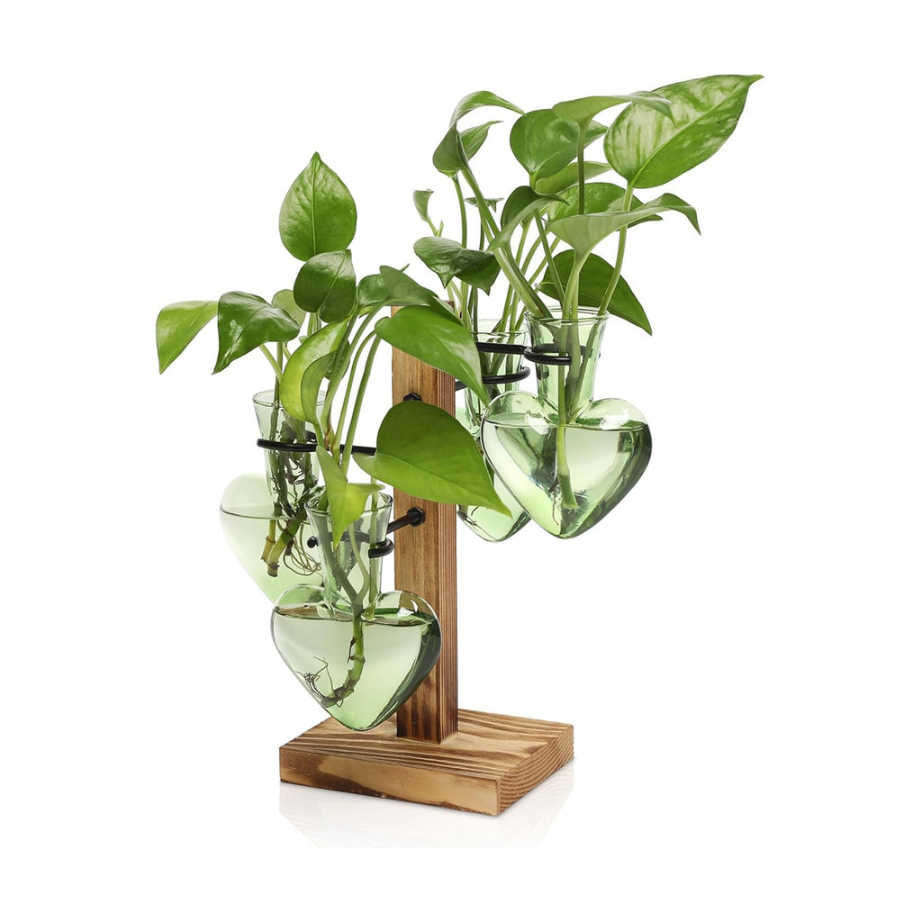 Plant Terrarium Propagation Stations with Wooden Stand | Glass Vase for Indoor Hydroponics Home Garden Office