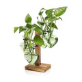 Plant Terrarium Propagation Stations with Wooden Stand | Glass Vase for Indoor Hydroponics Home Garden Office