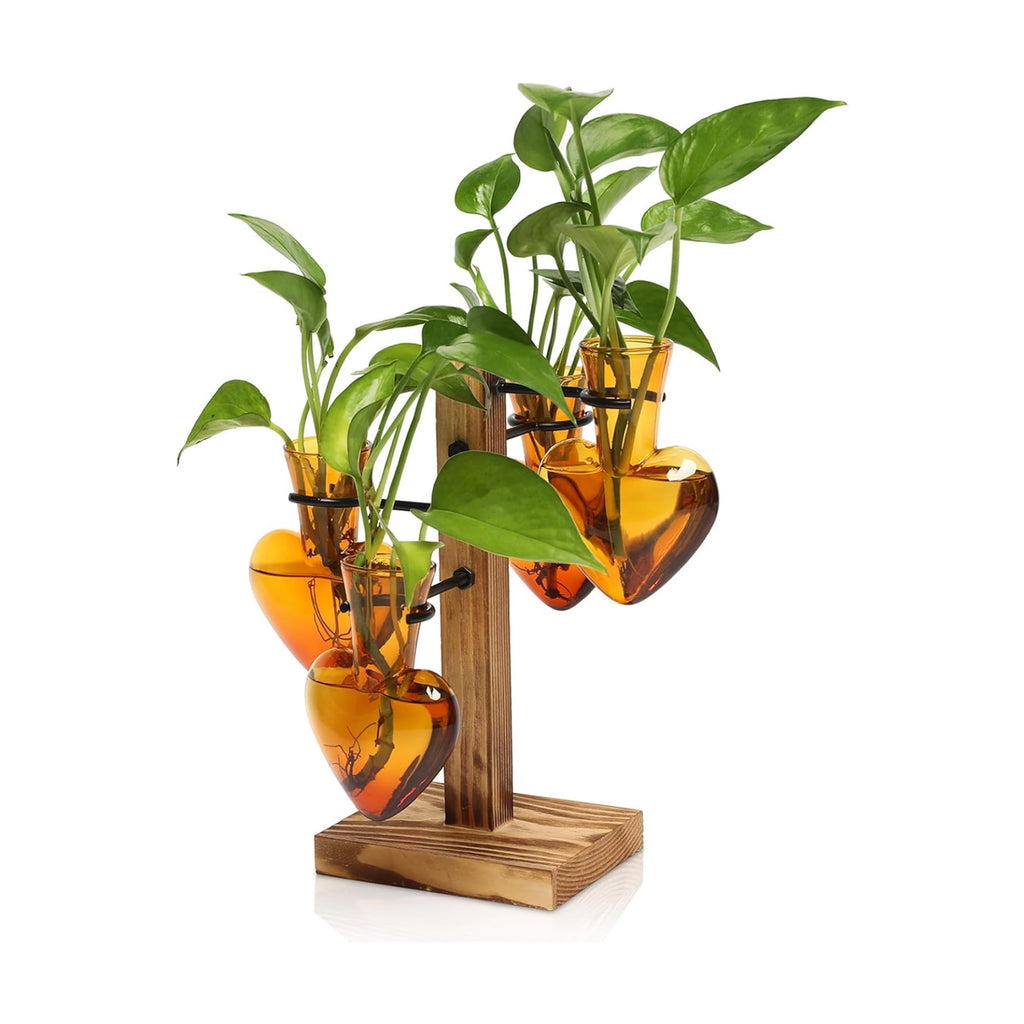 Plant Terrarium Propagation Stations with Wooden Stand