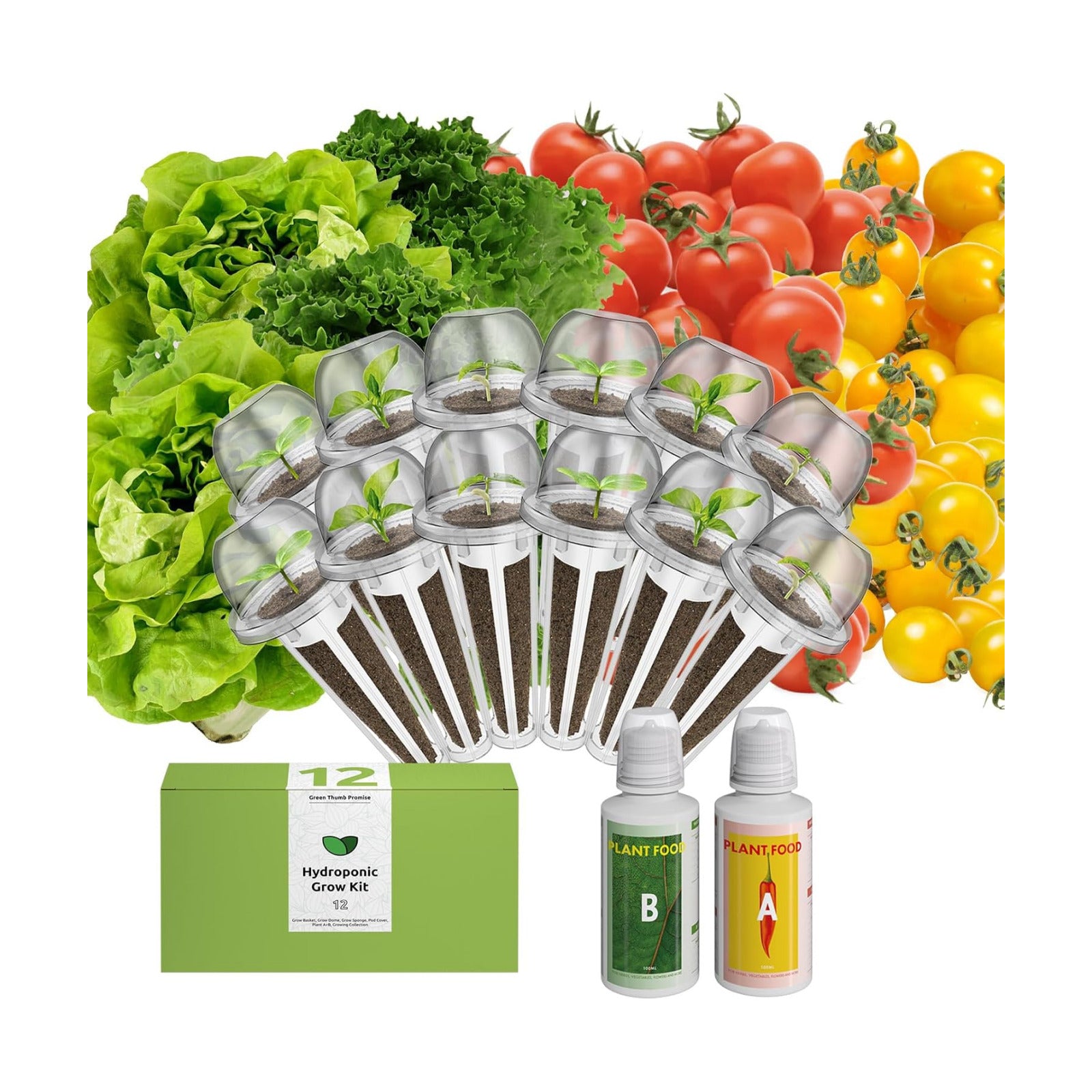 inbloom Organic Salad Seed Pod Kit for AeroGarden, Ahopegarden Hydroponics Growing System,Low-Calorie Food, 12-Pods