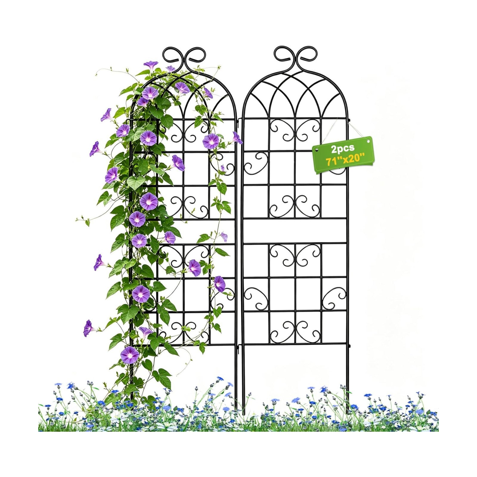Lorenzo 2 Pcs 70 x 20 Inch Rustic Iron Garden Trellis for Climbing Plants Outdoor, Black Metal Arch Decoration Plant