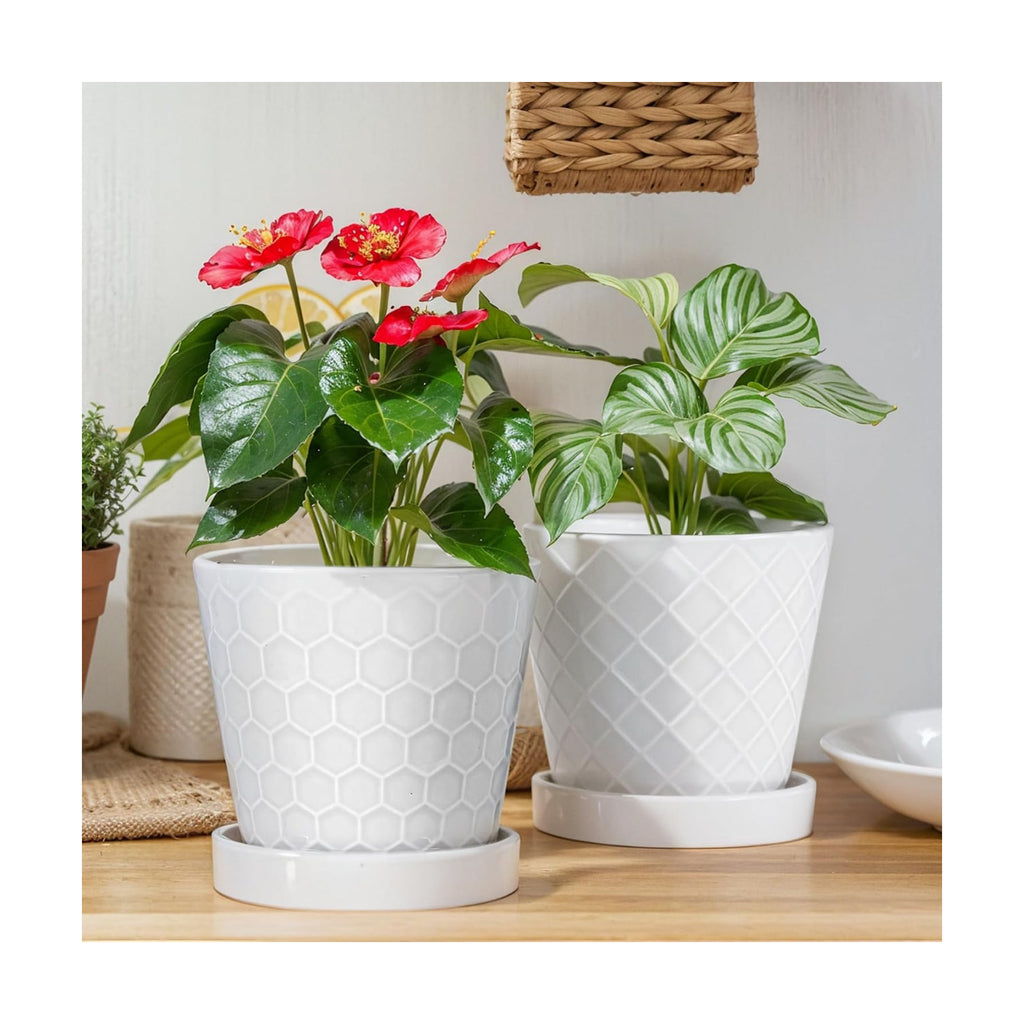 EFISPSS Ceramic Plant Pots, 6 Inch Pots for Indoor Plants, Planters with Drainage Hole and Saucer, Flower Pots Desktop