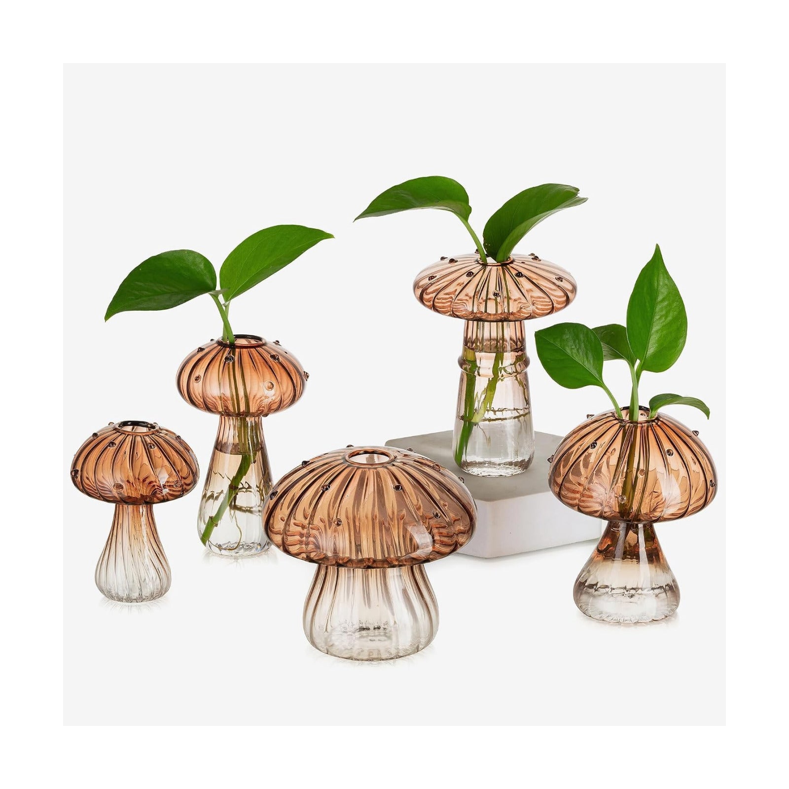 Glasseam Mushroom Glass Propagation Station, 5Pcs Amber Plant Terrarium Jar | Handmade Small Hydroponic Planters