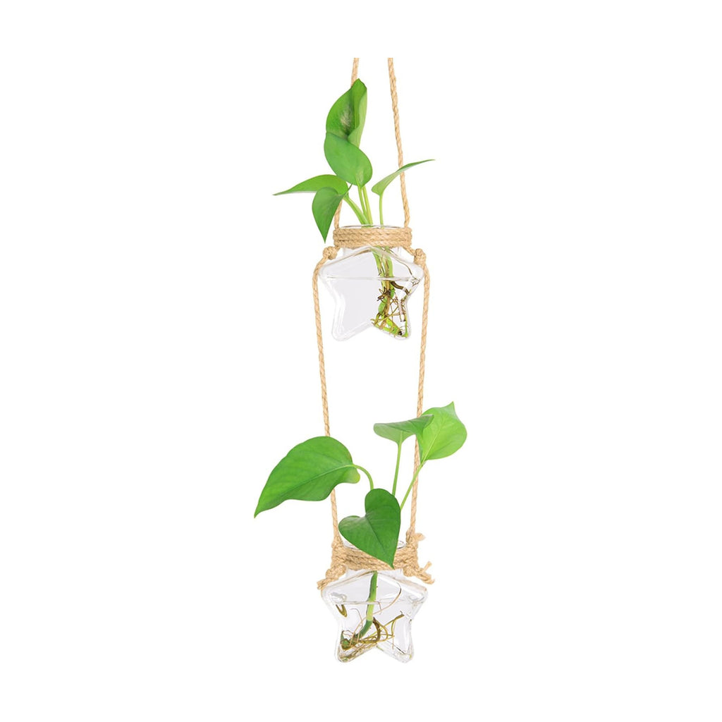 XXXFLOWER 2 Tiers Star Shaped Glass Vase Wall Hanging Propagation Station