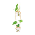XXXFLOWER 2 Tiers Star Shaped Glass Vase Wall Hanging Propagation Station