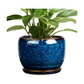 SQOWL Ceramic Planter 8 Inch - Pot for Indoor Outdoor Plants Round Ceramic Plant Pot with Drainage Hole and Saucer