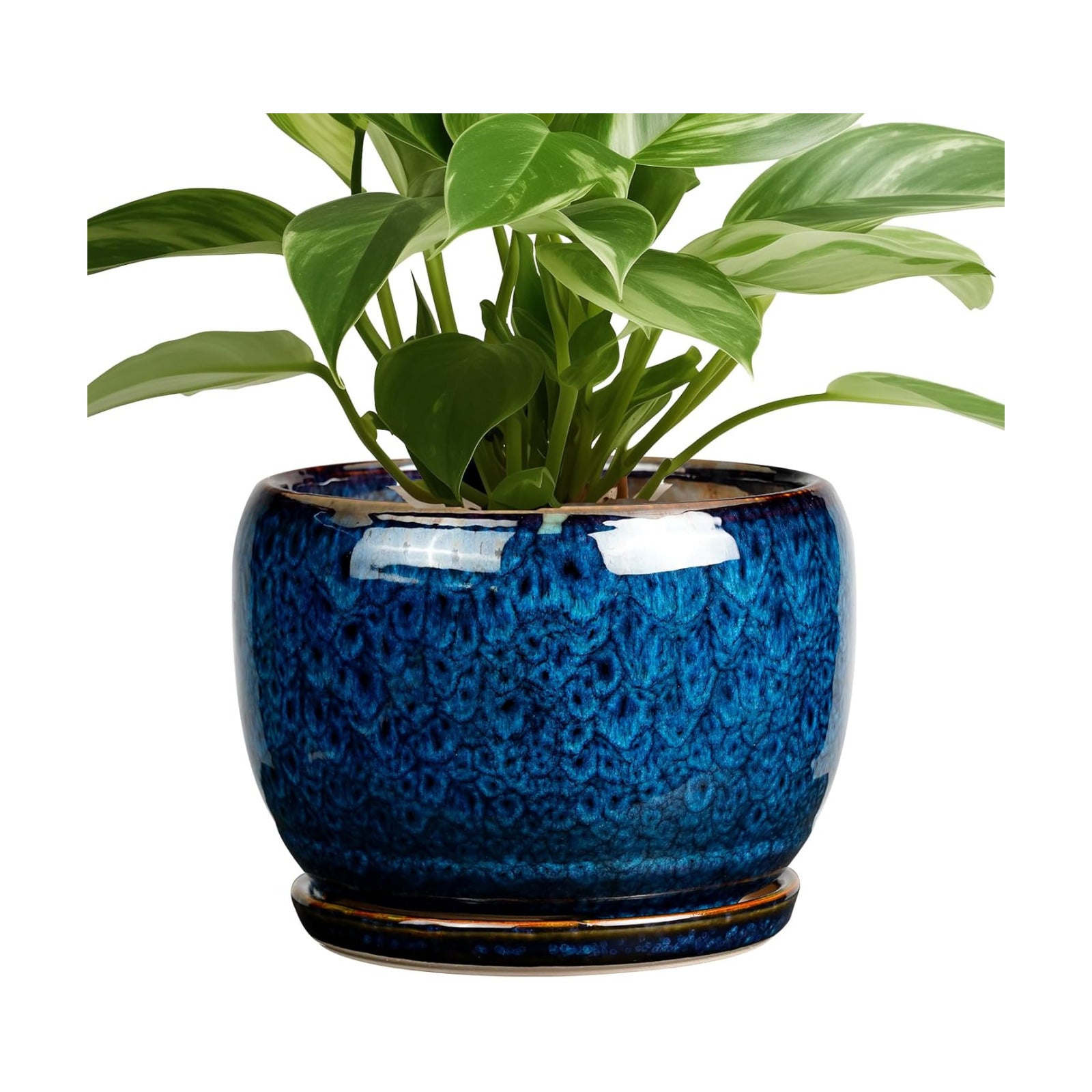 SQOWL Ceramic Planter 8 Inch - Pot for Indoor Outdoor Plants Round Ceramic Plant Pot with Drainage Hole and Saucer
