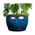 SQOWL 10 Inch Plant Pot - Ceramic Planter Pot with Drainage Hole and Saucer, Decorative Plant Pot for Indoor Outdoor