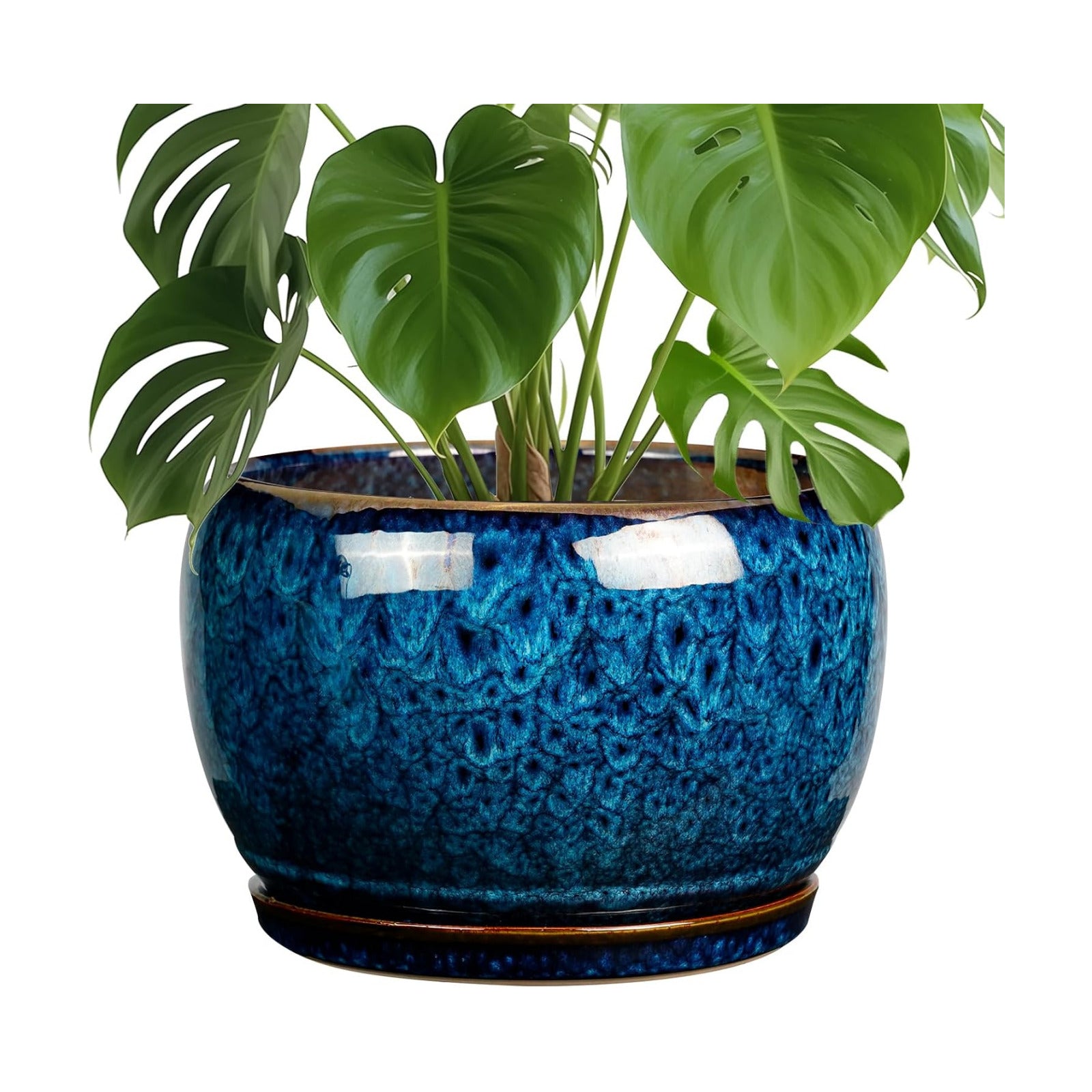 SQOWL 10 Inch Plant Pot - Ceramic Planter Pot with Drainage Hole and Saucer, Decorative Plant Pot for Indoor Outdoor