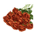 Artificial Roses Flowers, 12 Pcs Fake Rose in Bulk, Long Stem Realistic Silk Roses Bouquet for Fall Home Decor, Thanksgiving Decor, Centerpieces, Flower Arrangement (Burnt Orange, 12-PCS)