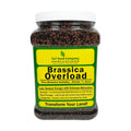 Brassica Overload Deer Food Plot Seed Mix, 1/2 Acre, Cold Hardy Annual Fall Blend, Tillage Radish, Purple Top Turnips