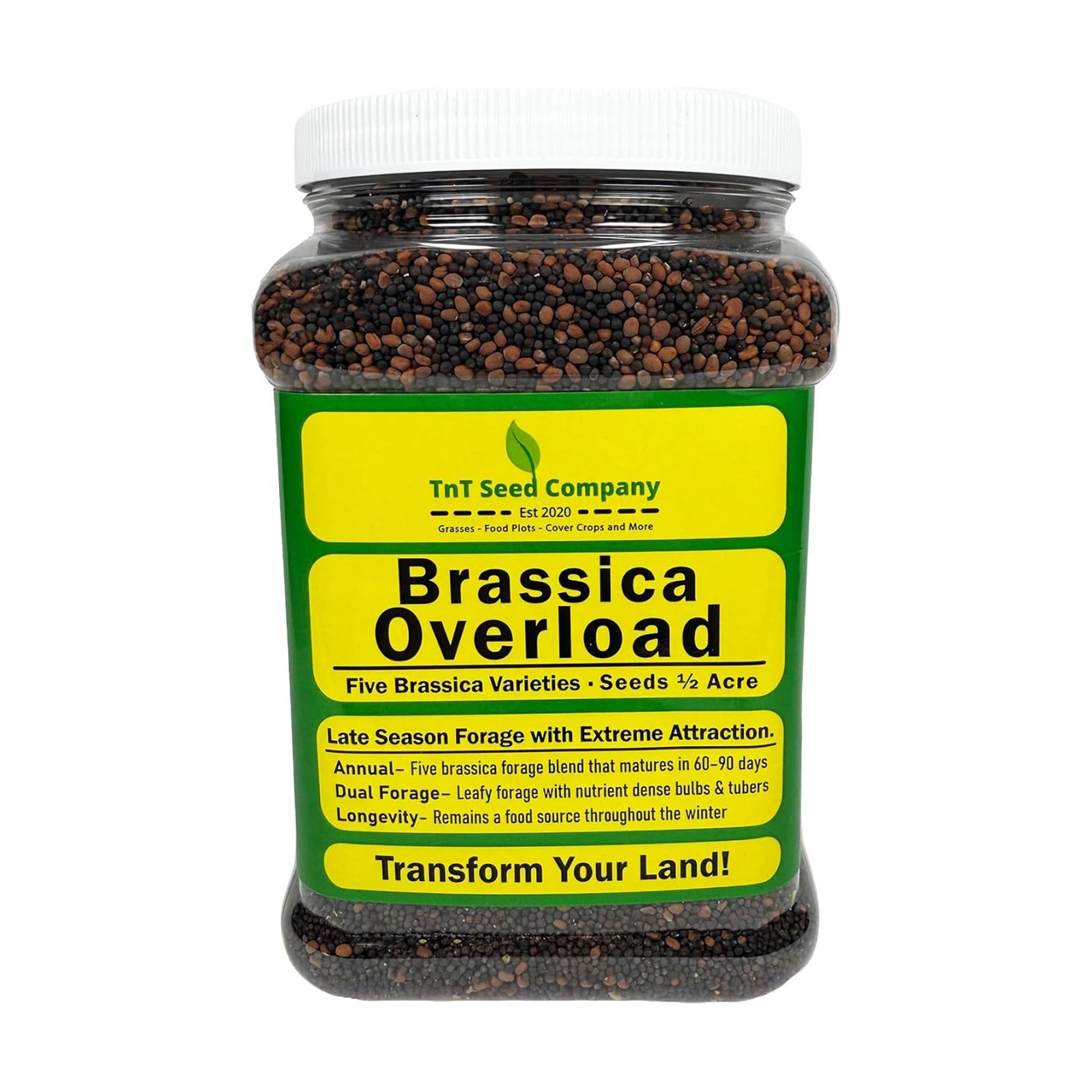 Brassica Overload Deer Food Plot Seed Mix, 1/2 Acre, Cold Hardy Annual Fall Blend, Tillage Radish, Purple Top Turnips
