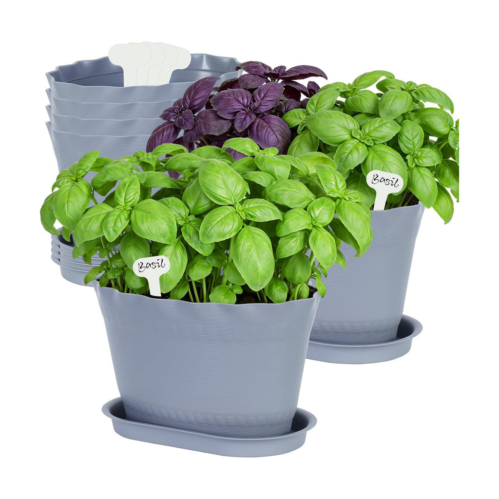 Oliz Herb Planter Pots 6 Pcs, Window Box Planter Flower Plants Pots for Succulent Cactus Flower with Trays, for Home Garden Kitchen Decor (Grey)