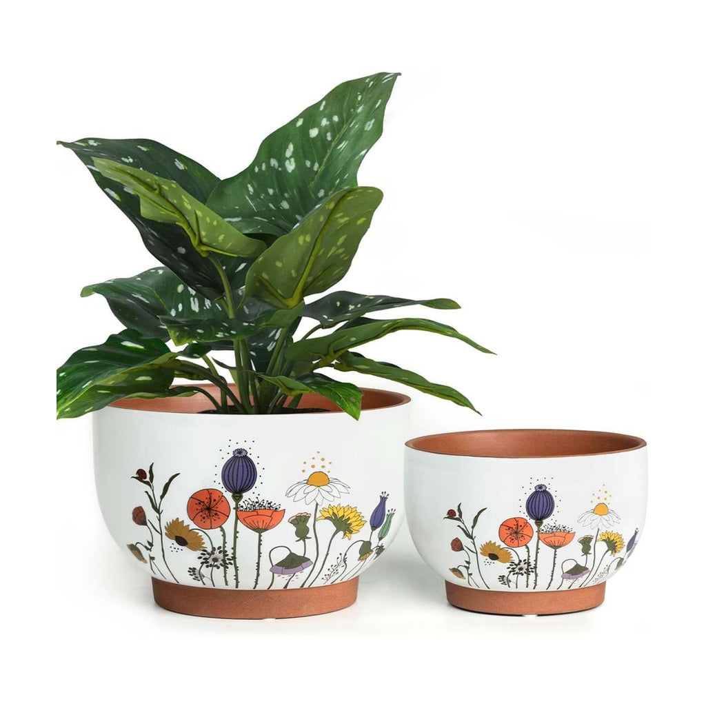 Terracotta Pots, 8+6 Inch Plant Pots, 2 Pcs with Drainage Holes | White & terracotta ceramic planters with botanical
