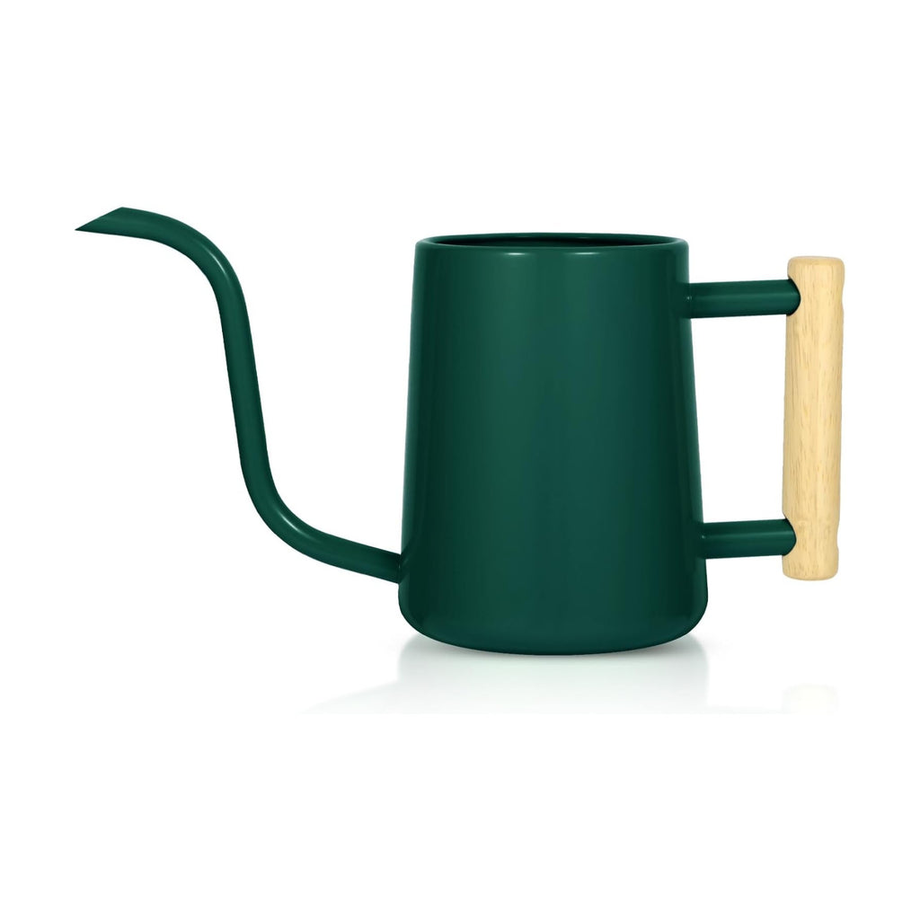 Watering Can Indoor Plants, 35 oz/1000 ml Metal Stainless Steel Watering Can Pot with Long Spout for Indoor House Plants Bonsai Outdoor Garden Flower Decorative (Alpinegreen)
