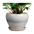 Ceramicfor Planter Pot 6 Inch - Ceramic Plant Pot with Drainage Hole and Saucer, Round Glaze Succulent Pot for Plants, White