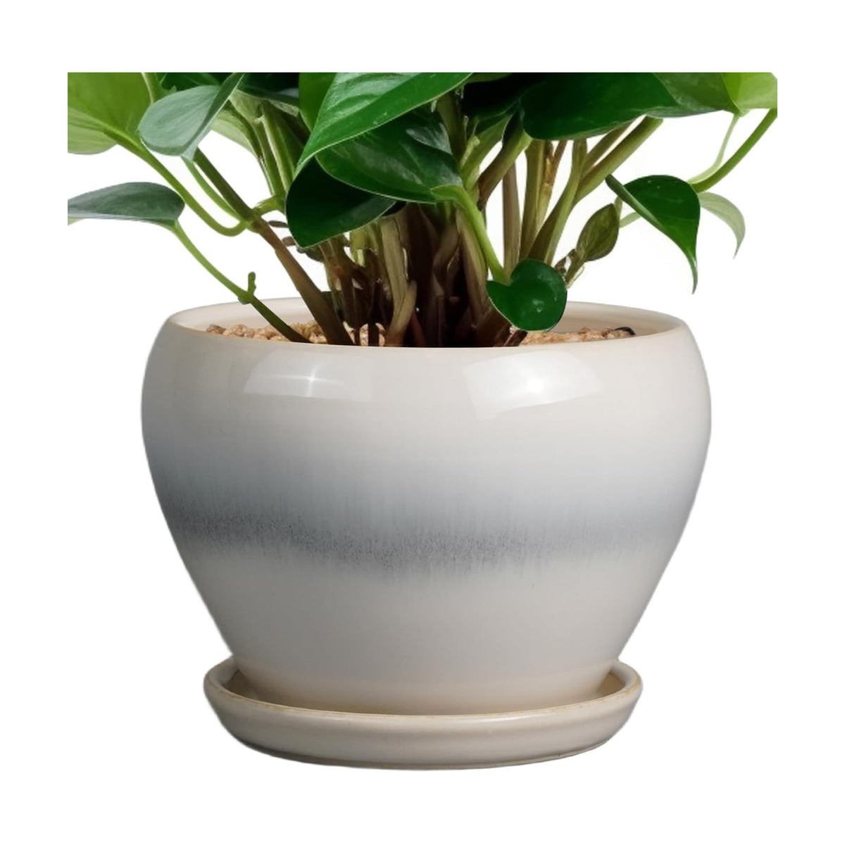 Ceramicfor Planter Pot 6 Inch - Ceramic Plant Pot with Drainage Hole and Saucer, Round Glaze Succulent Pot for Plants, White